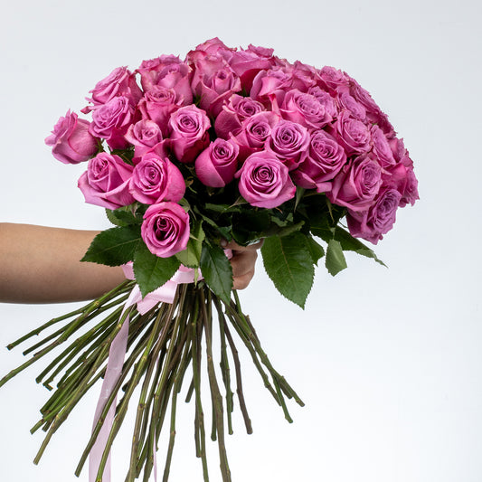 Bunch of Purple Roses 50 Flowers