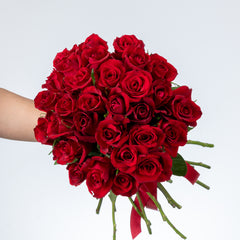 Bunch of Red Roses 30 Flowers