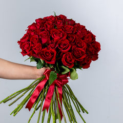 Bunch of Red Roses 50 Flowers