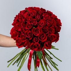Bunch of Red Roses 50 Flowers