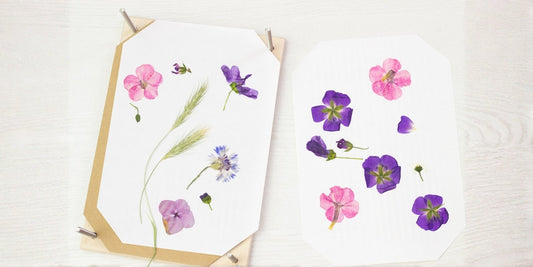 How to Press Flowers