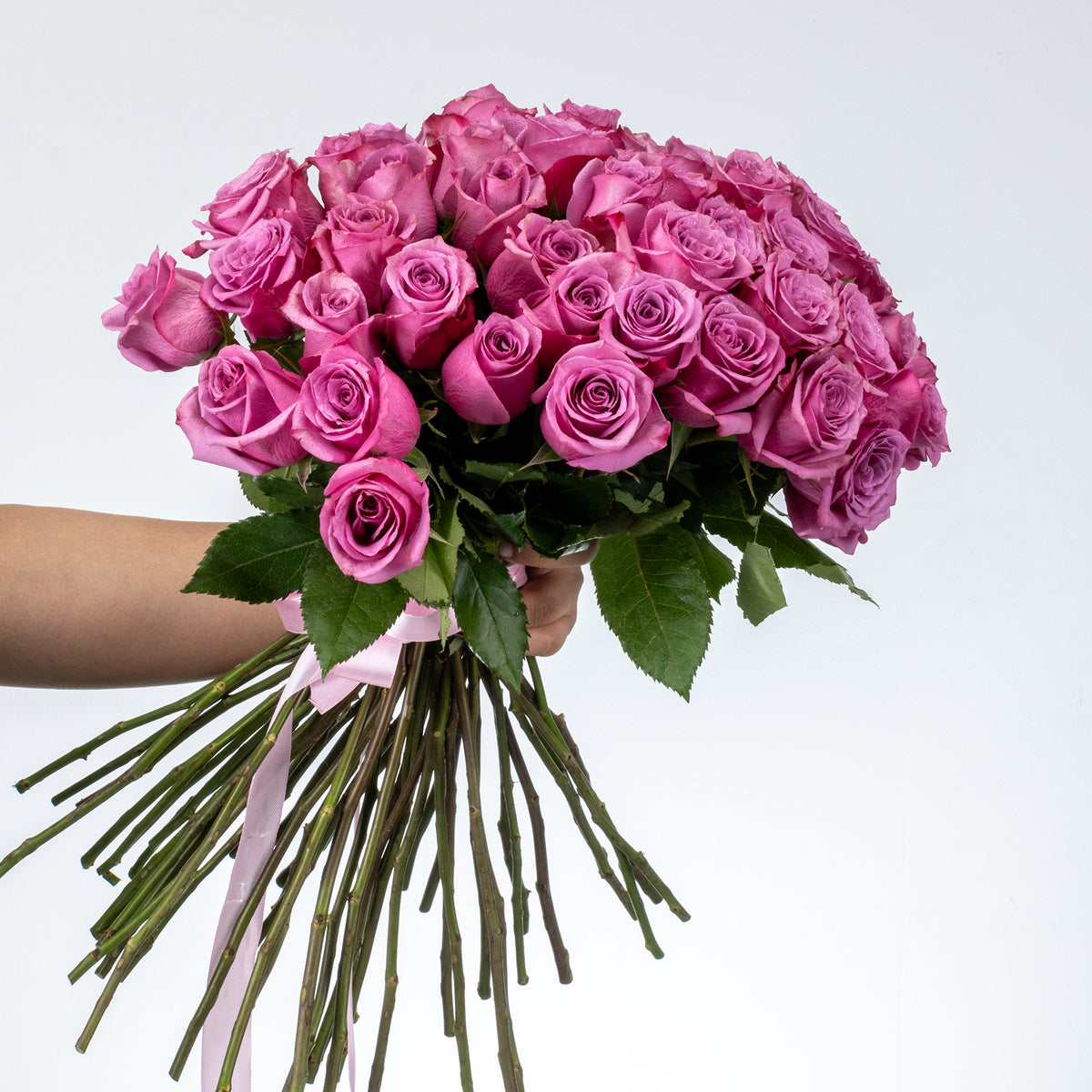 Bunch of Purple Roses 50 Flowers