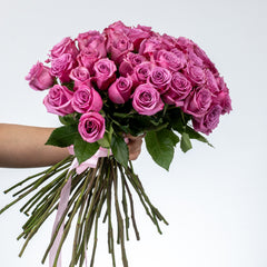 Bunch of Purple Roses 50 Flowers