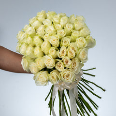 Bunch of White Roses 50 Flowers